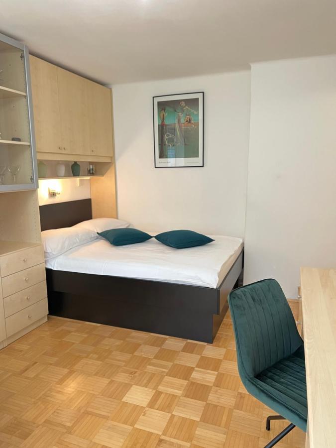 Luxury Studio Apartments Ljubljana Buitenkant foto